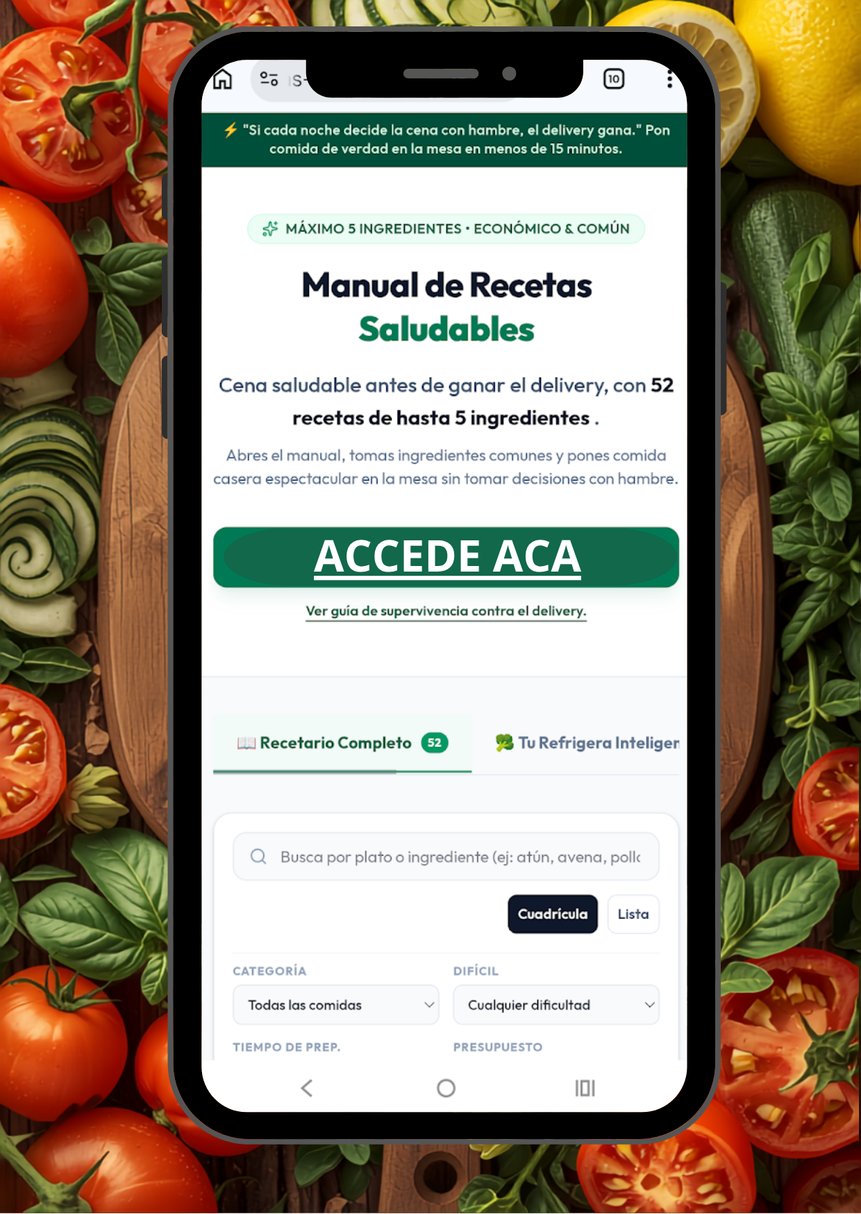 Manual de Recetas Saludables
